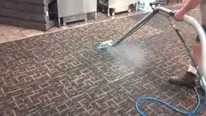 Person cleaning a patterned carpet with a commercial steam cleaner, showing the steam and the cleaner's wand in action