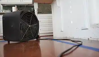 A black industrial air mover positioned on a glossy hardwood floor, with its cord trailing off, likely being used for floor drying or air circulation
