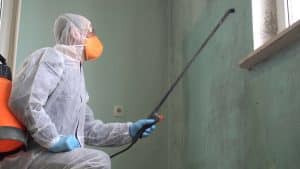 professional mold remediation specialist cleans and sprays the area with an antimicrobial treatment to prevent mold from coming back in house